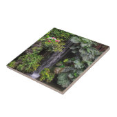 Weelderige Tuin Waterval, China Tegeltje (Zijkant)