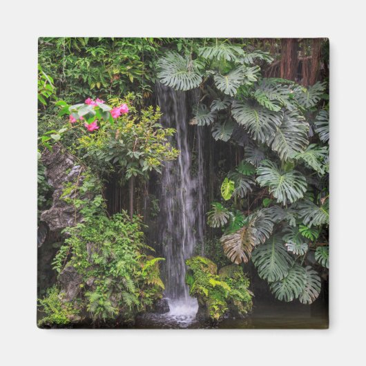 Weelderige tuincascade, China Magneet (Voorkant)