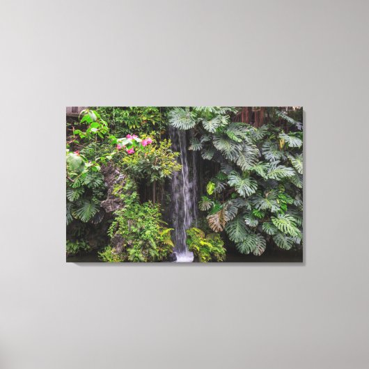 Weelderige tuinkatwater, China Canvas Afdruk (Voorkant)