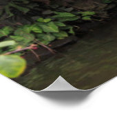 Weelderige tuitwaterval, China Poster (Hoek)