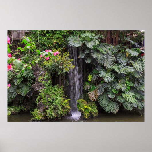 Weelderige tuitwaterval, China Poster (Voorkant)