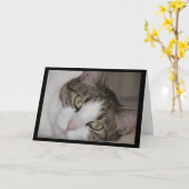 Weemoedige Kat die u missen Wenskaart Kaart (Gele Bloem)