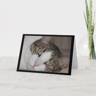 Weemoedige Kat die u missen Wenskaart Kaart