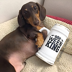 Ween King Dachshund Pa Stein Mok Vaderdag