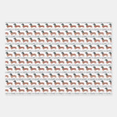 Weenie de mensen teckel 4 juli inpakpapier vel (Voorkant 2)