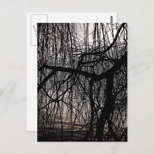 WEEPENDE WILLOW BOMEN BRIEFKAART (Voorkant / Achterkant)