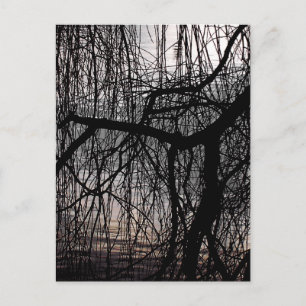WEEPENDE WILLOW BOMEN BRIEFKAART