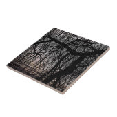 WEEPENDE WILLOW BOMEN TEGELTJE (Zijkant)