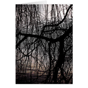 WEEPENDE WILLOW TREE Kaart