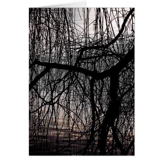 WEEPENDE WILLOW TREE Kaart (Voorkant)