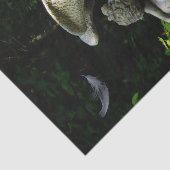 Weeping Angel Tissuepapier (Detail)