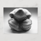 Weeping Boeddha Briefkaart (Voorkant)