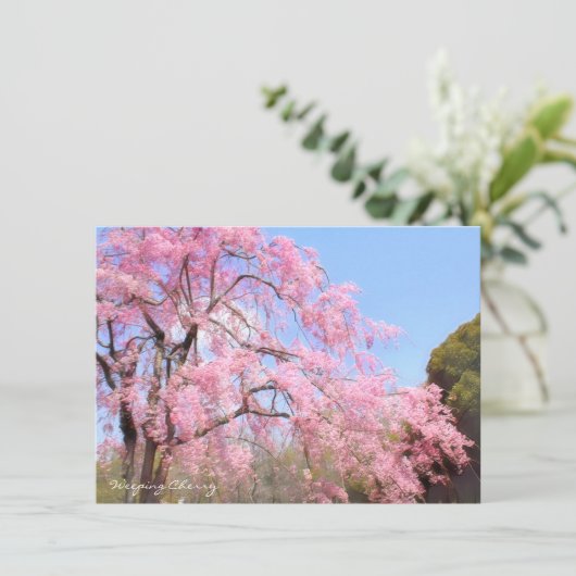 Weeping Cherry: Flat Card (Staand voorkant)