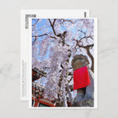 Weeping cherry tree ("Nara Ichiban-Zakura") ポストカード Briefkaart (Voorkant / Achterkant)