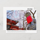 Weeping cherry tree ("Nara Ichiban-Zakura") ポストカード Briefkaart (Voorkant / Achterkant)