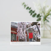 Weeping cherry tree ("Nara Ichiban-Zakura") ポストカード Briefkaart (Staand voorkant)