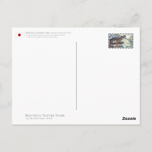 Weeping cherry tree ("Nara Ichiban-Zakura") Briefkaart (Achterkant)