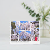 Weeping cherry tree ("Nara Ichiban-Zakura") Briefkaart (Staand voorkant)