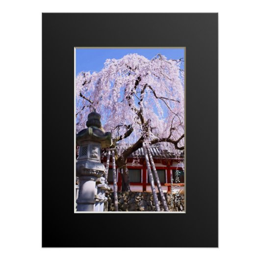 Weeping cherry tree ("Nara Ichiban-Zakura") Perfect Poster (Voorkant)