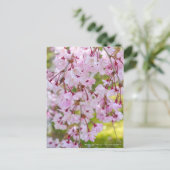 Weeping Cherry: Yae-benishidare Briefkaart (Staand voorkant)