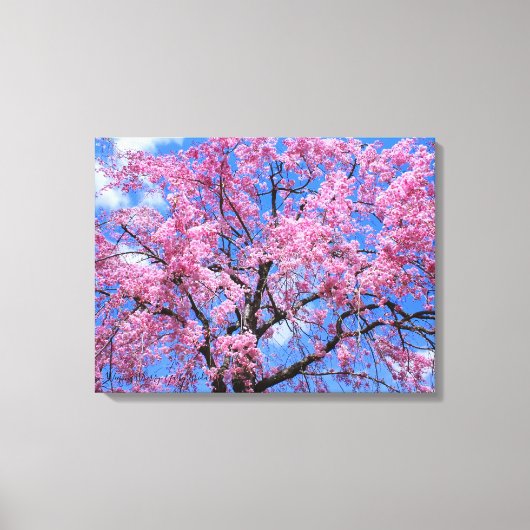 Weeping Cherry: Yaebenishidare [Canvas Print] Canvas Afdruk (Voorkant)