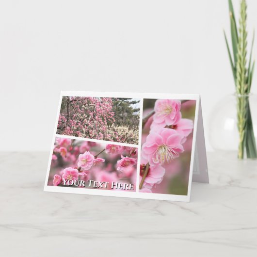 Weeping Japanese Apricot Kaart (Voorkant)