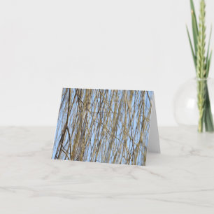 Weeping Willow beroemd gemaakt door Charles Kaart