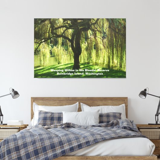 Weeping Willow Bloedel Reserve Bainbridge Island Canvas Afdruk (Insitu (Slaapkamer))