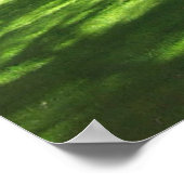 Weeping Willow Bloedel Reserve Bainbridge Island Poster (Hoek)