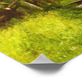 Weeping willow creek Poster (Hoek)