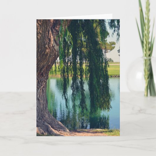 Weeping Willow Tree bij Lake Wenskaart Kaart (Voorkant)