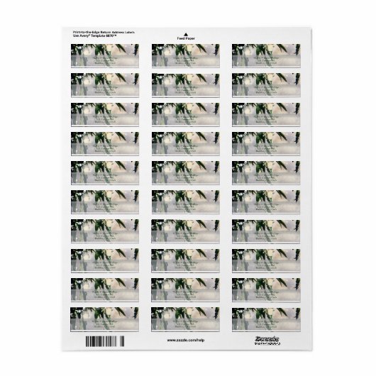 Weeping Willow Tree & Mason Jar Lights uitnodiging Etiket (Full Sheet)