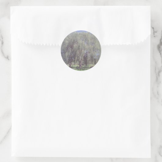 Weeping WIllow Tree Stickers (Tas)