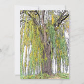 WEEPWILLOW/GEEL EN GROENE TENDRILEN/BLANK (Voorkant)