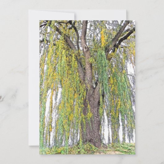 WEEPWILLOW/GEEL EN GROENE TENDRILEN/BLANK (Voorkant)