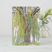 WEEPWILLOW/GEEL EN GROENE TENDRILEN/BLANK (Staand voorkant)