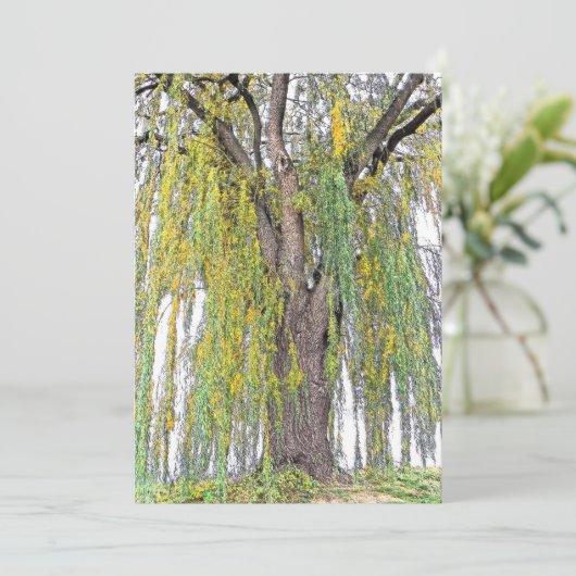 WEEPWILLOW/GEEL EN GROENE TENDRILEN/BLANK (Staand voorkant)