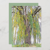 WEEPWILLOW/GEEL EN GROENE TENDRILEN/BLANK (Voorkant / Achterkant)