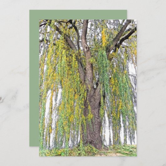 WEEPWILLOW/GEEL EN GROENE TENDRILEN/BLANK (Voorkant / Achterkant)