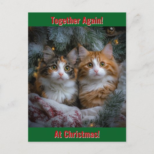 Weer bij elkaar met kerst! feestdagenkaart (Voorkant)