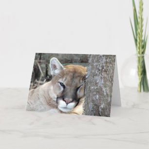 Weer een maandagse cougar kaart