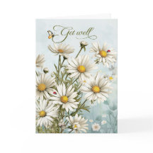 Weer Opknappen Witte Margrietentuin met Vlinders