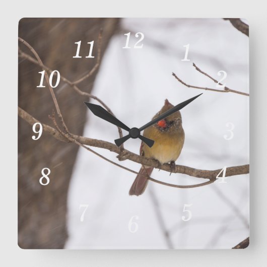 Weer sneeuwen zegt Mrs Cardinal Wall Clock Vierkante Klok (Voorkant)