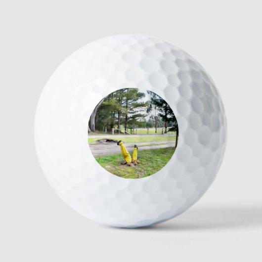 Weer verdwaald in de tuin golfballen (Voorkant)