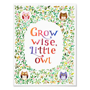 Weer wijs kleine uil Waterverf schilderen Foto Afdruk