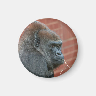 weerbare gorillamoeder magneet