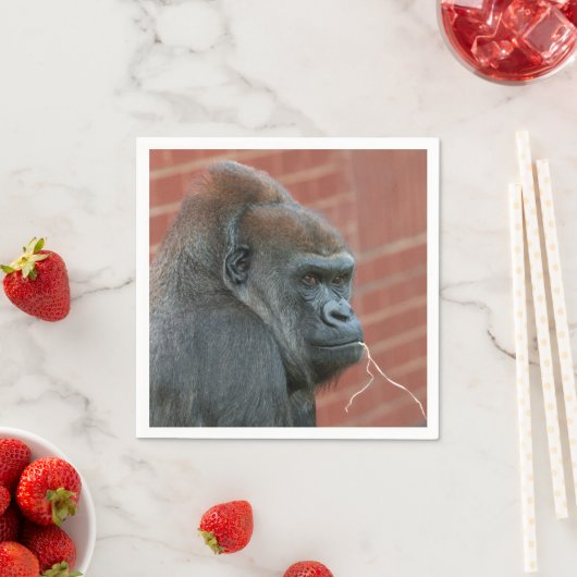 weerbare gorillamoeder servet (Insitu)