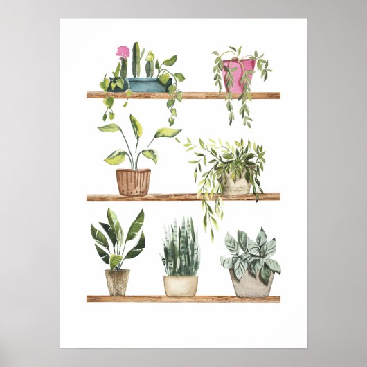 Weergave Potlood planten Poster (Voorkant)