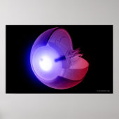 Weergave van de structuur van het oog poster (Voorkant)