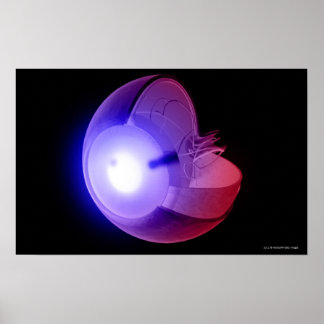 Weergave van de structuur van het oog poster